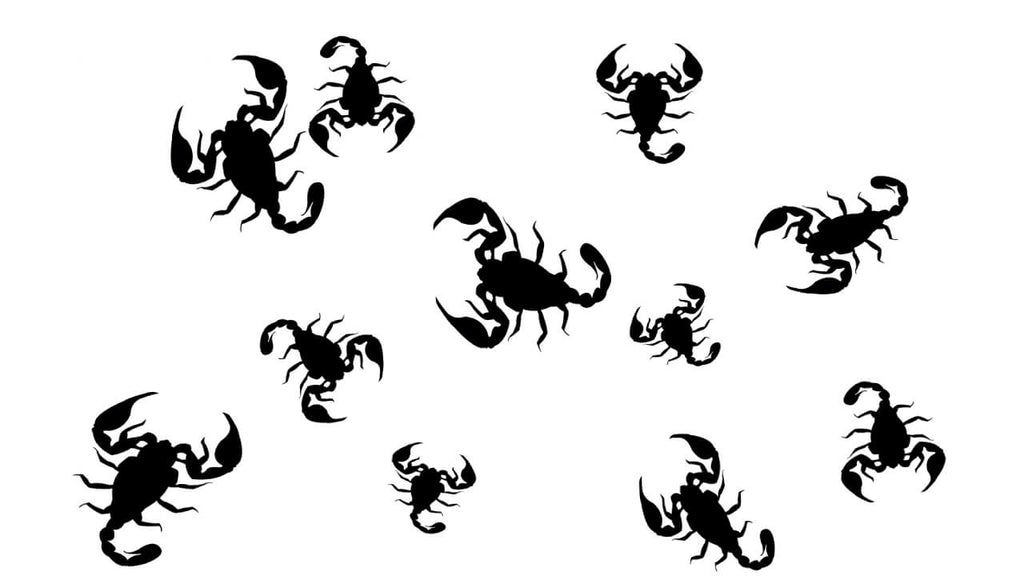 Discover Your Scorpio Sign with These 7 Tattoo Designs