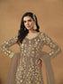 Chiku Net Anarkali Dress 192412 Salwar Kameez