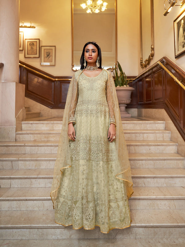 Light Pista Net Anarkali Suit 193085