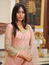 Baby Pink Net Anarkali Suit 193086 Closure View