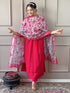 Gajri Viscose Chanderi Pant Suit Acy8665 Salwar Kameez