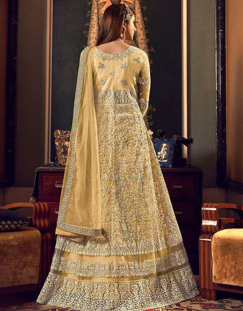 Light Yellow Butter Fly Net Chudidar Anarkali
