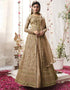 Coco Lehenga style Salwar Suit Butterfly Net Salwar Kameez in Embroidery, Sequins & Lace Work