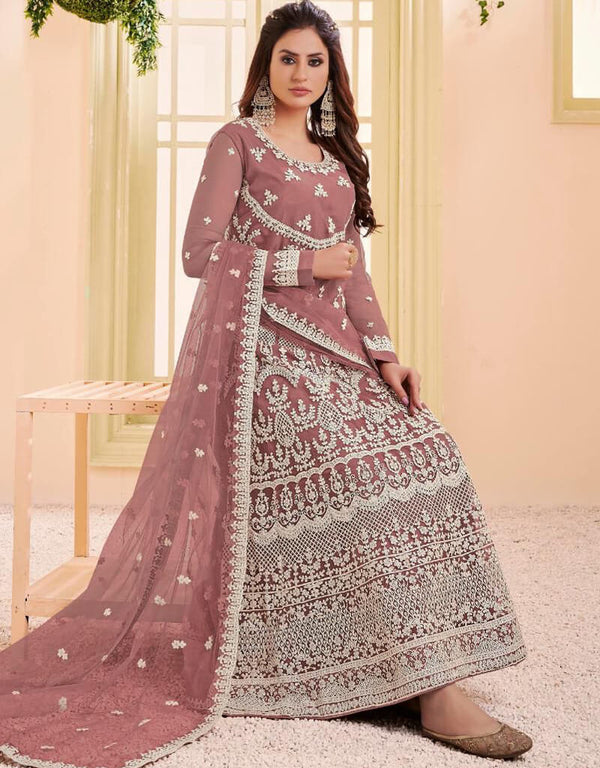 Brown Heavy Net Anarkali Suit