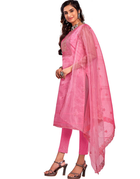 Pink Organza Chudidar Salwar Suit Back View