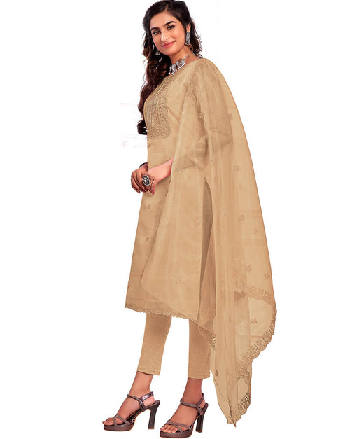 Beige Organza Chudidar Salwar Suit Back View