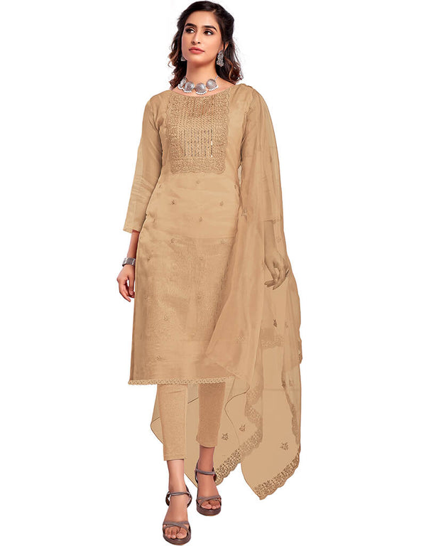 Beige Organza Chudidar Salwar Suit