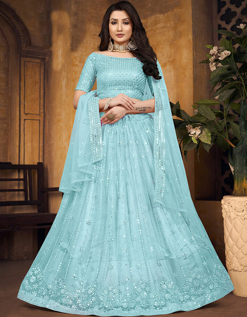 Blue Butterfly Net Lehenga Choli