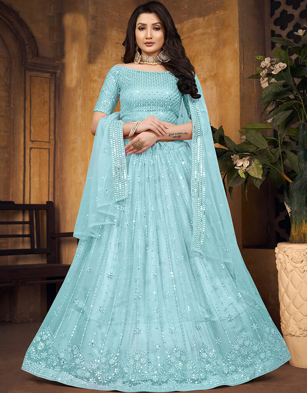 Blue Butterfly Net Lehenga Choli