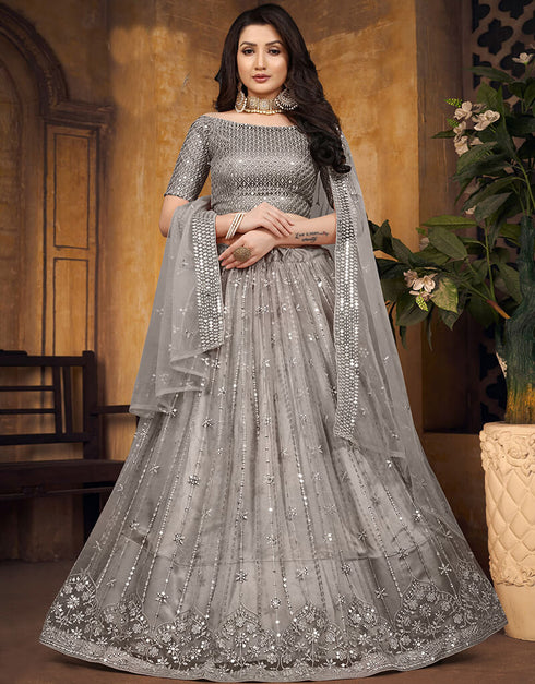 Gray Butterfly Net Lehenga Choli