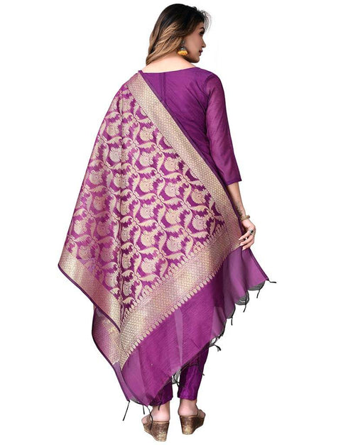 Violet Banarasi Jacquard Pant Salwar Suits Back View