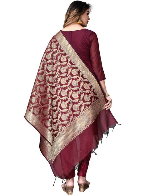 Maroon Banarasi Jacquard Pant Salwar Suits Back View