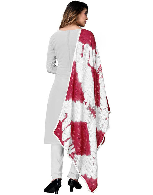 Light Grey Georgette Pant Salwar Suits Back View