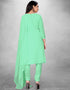 Mint Green Chanderi Chudidar Suit Back View