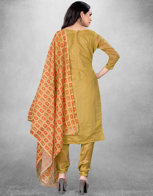 Golden Chanderi Chudidar Suit Back View