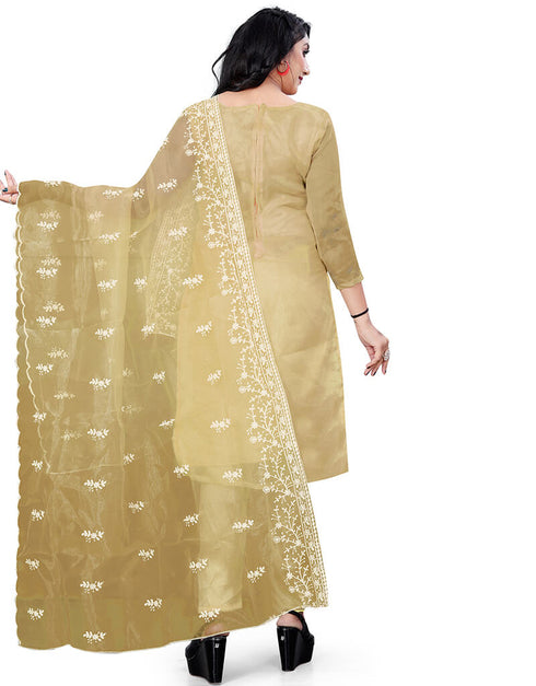 Beige Organza Pant Salwar Suit Back View