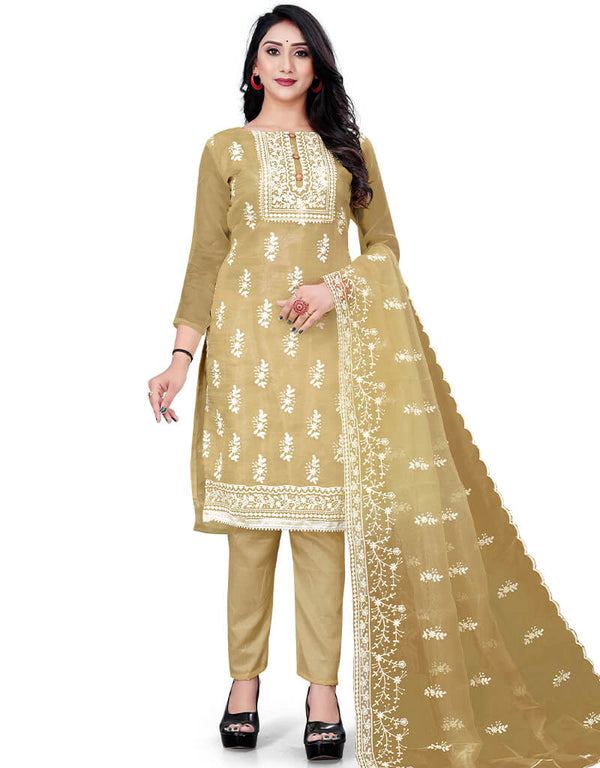 Beige Organza Pant Salwar Suit