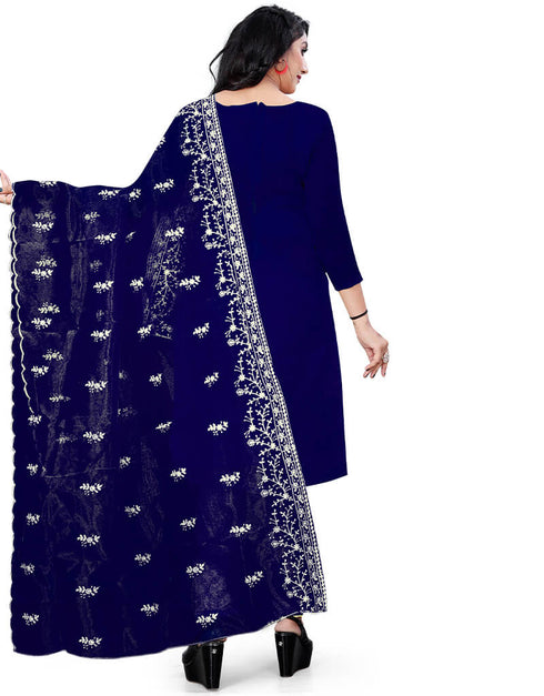 Blue Organza Pant Salwar Suit Back View