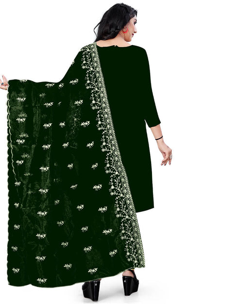 Green Organza Pant Salwar Suit Back View