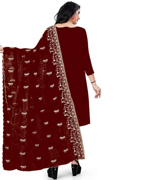 Maroon Organza Pant Salwar Suit Back View