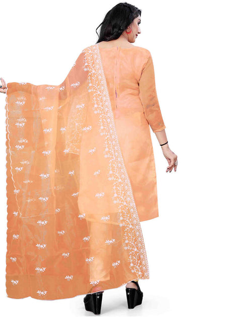 Orange Organza Pant Salwar Suit Back View