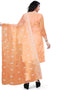 Orange Organza Pant Salwar Suit Back View