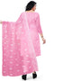Pink Organza Pant Salwar Suit Back View