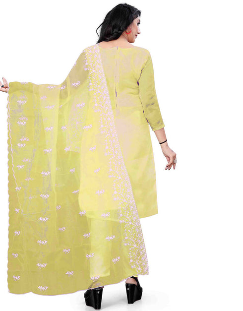 Yellow Organza Pant Salwar Suit Back View