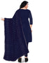 Blue Chanderi Pant Straight Back View