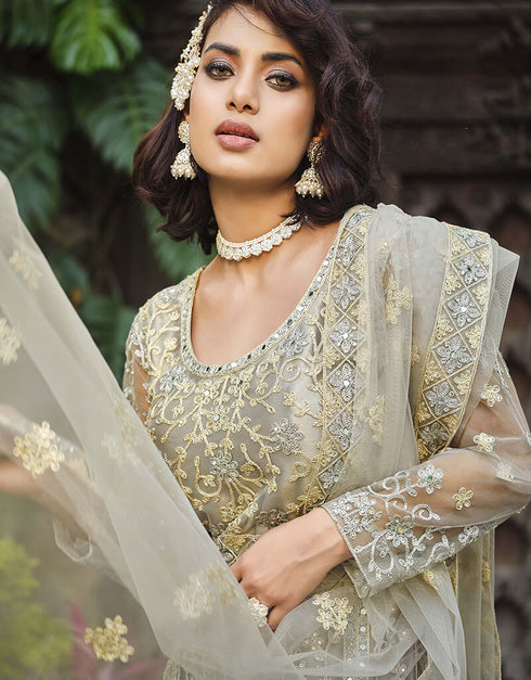 Grey Nickel Pure Butterfly Net Pant Anarkali Back View