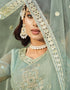 Greenish Grey Pure Butterfly Net Pant Anarkali Closure View