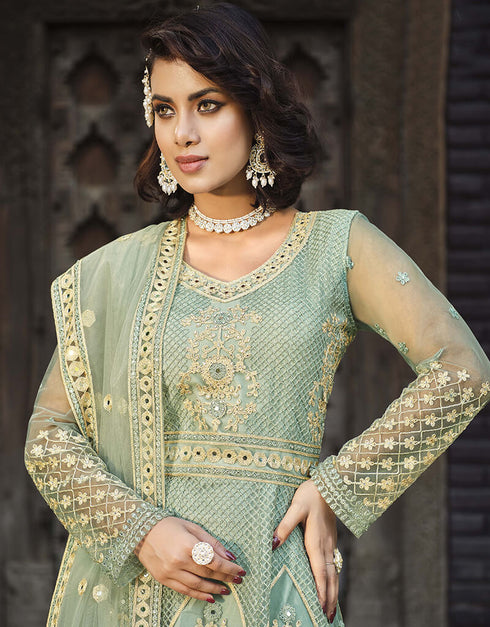 Greenish Grey Pure Butterfly Net Pant Anarkali Back View
