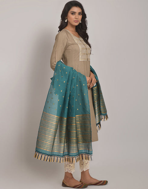 Chiku Brown Viscose Rayon Blend Pant Straight