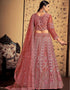 Pink Taupe Soft Net Lehenga Choli Closure View