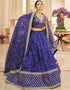Blue Organza Lehenga Choli Closure View