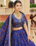 Blue Organza Lehenga Choli Back View