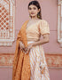 Multi Soft Poly-Cotton Lehenga Choli Back View