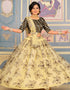 Black Net Lehenga Choli Back View