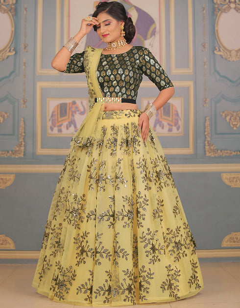 Black Net Lehenga Choli