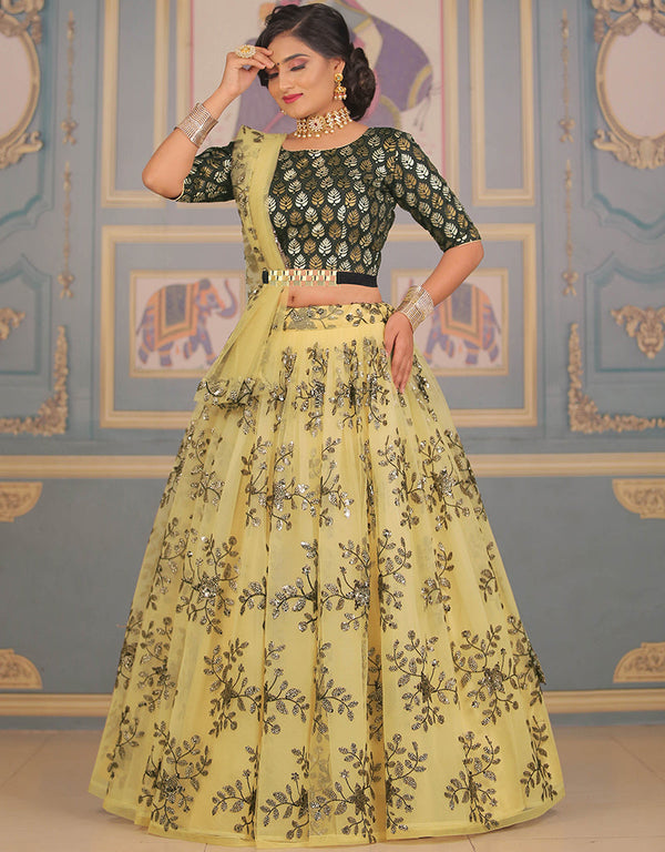 Black Net Lehenga Choli