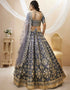 Grey Art Silk Lehenga Choli Back View