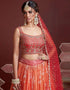 Orange Organza Silk Lehenga Choli Closure View