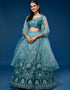 Blue Net Lehenga Choli
