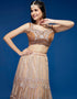 Rust Net Lehenga Choli Salwar Kameez