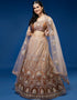 Rust Net Lehenga Choli