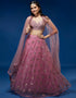 Pink Net Lehenga Choli
