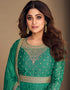 Rama Green Chinon Silk N/A Anarkali Back View