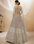 Grey Georgette Lehenga Choli Back View