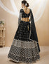 Black Georgette Lehenga Choli Back View