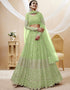 Pista Georgette Lehenga Choli Closure View